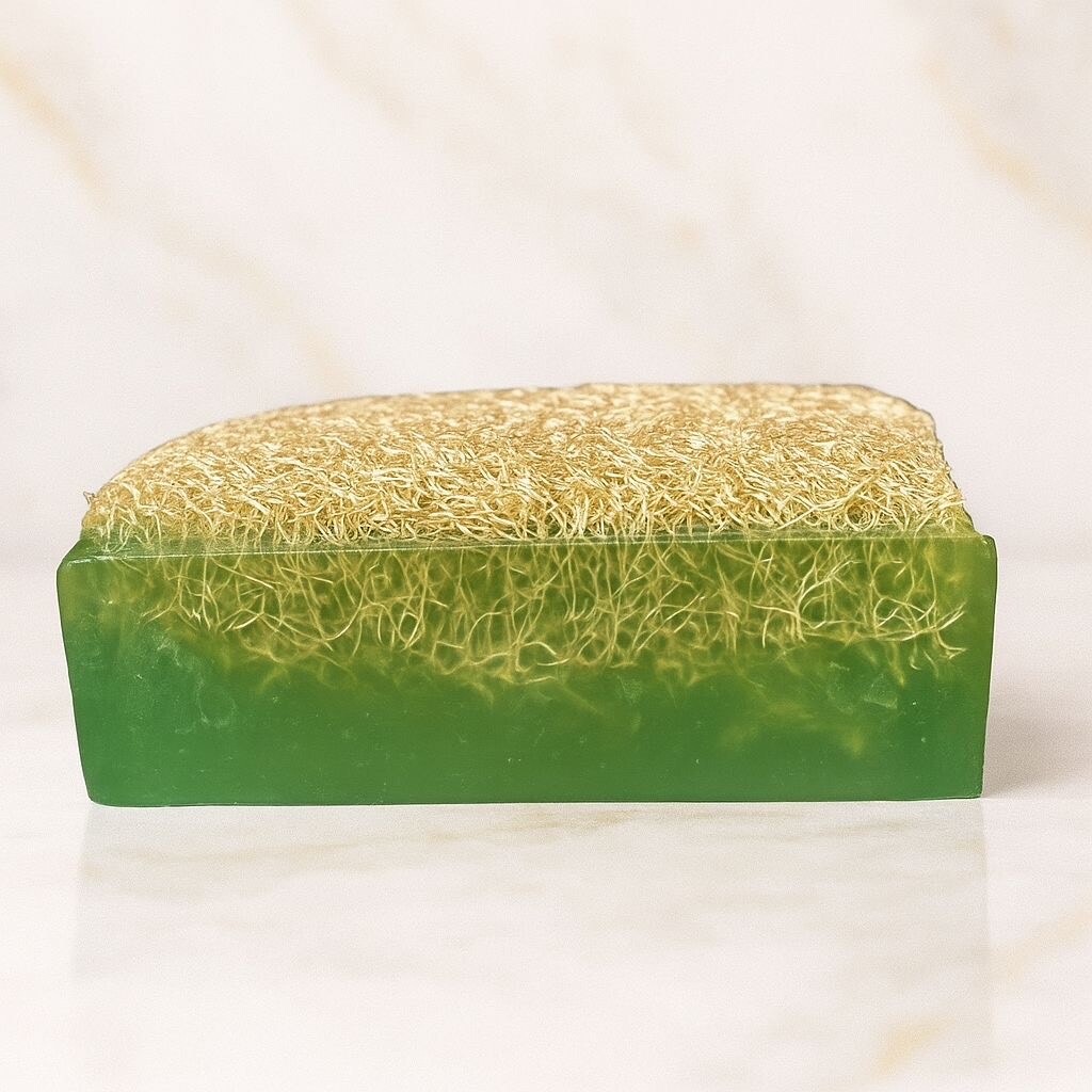 Luffa Seife mit Aloe Vera